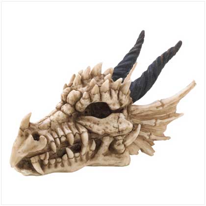 Dragon's Skull Treasure Box